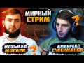 МИРНЫЙ СТРИМ ГОСТЬ - МОХЬМАД МОГАЕВ / В PUBG MOBILE