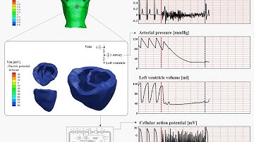 Cardiac mechanics using a 3D virtual heart model