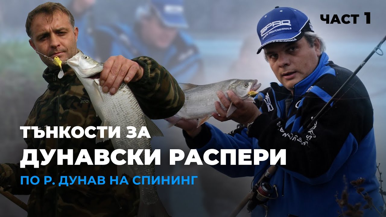 Местен майстор КЪРТИ  РАСПЕРИ по р. Дунав на спининг - 1 част