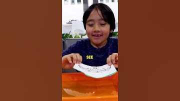 Paper Towel Magic Trick Easy Science Experiments