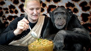 Chimp Dinner Live from Safari Lodge | Myrtle Beach Safari