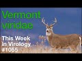 TWiV 1055: Vermont viridae