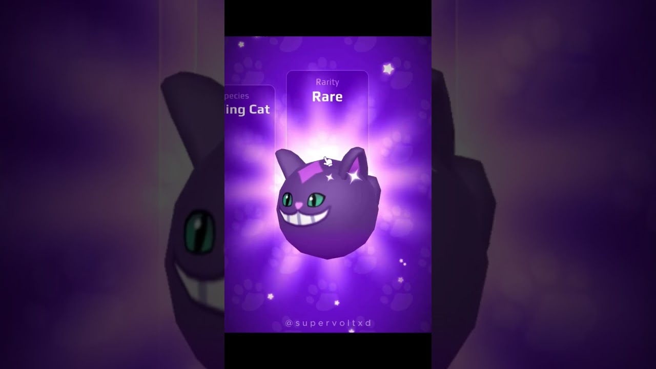opening new pet pod 