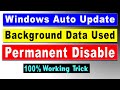 Windows Update Permanent Disable
