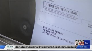 Shelby County U.S. Census rates