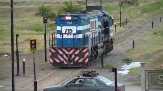Trenes en Monte , en Spurr la loc. 103 de YPF , la 2005 de FR y tren de Fepsa