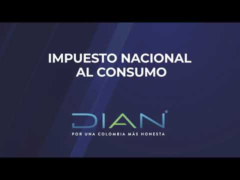Conoce los principios