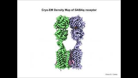 Prof. Qing Fan - Cryo-EM structure of human GABAB receptor