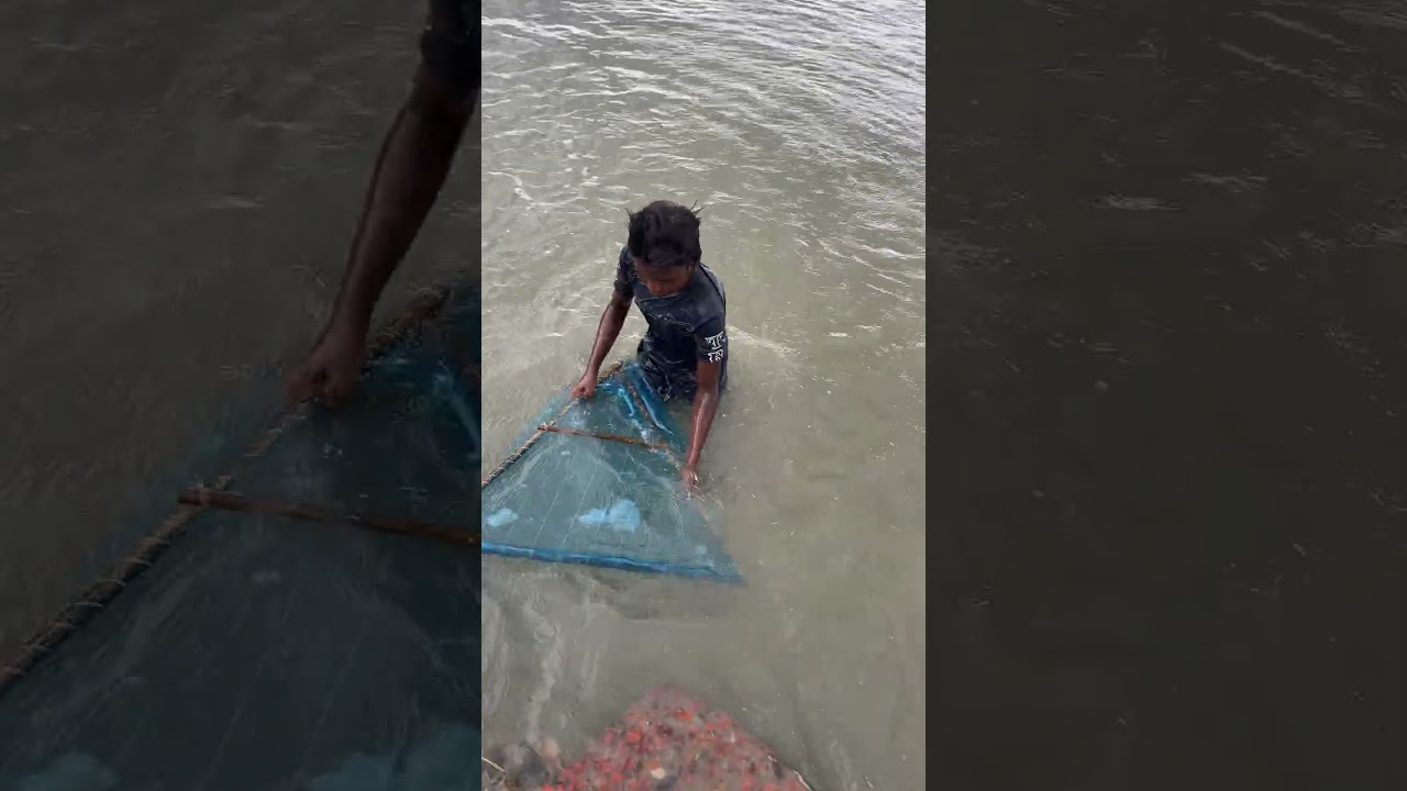 Little boys catch fish using a net trap from the river 🌊