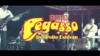 Cancun Night Club - Grupo Pegaso