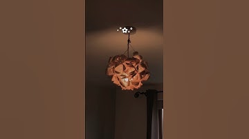 Paper cups to hanging rose light🤍🌹🫶🏻 #diy