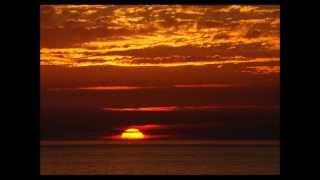 "Electric Sunset" // The Dubstep Projects // Marc Mansfield