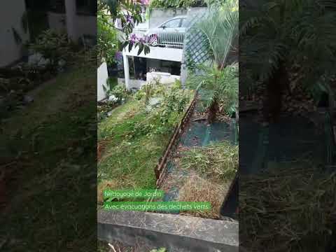 LGG974 Nettoyage De Jardin Avec évacuations Des Déchets Verts 