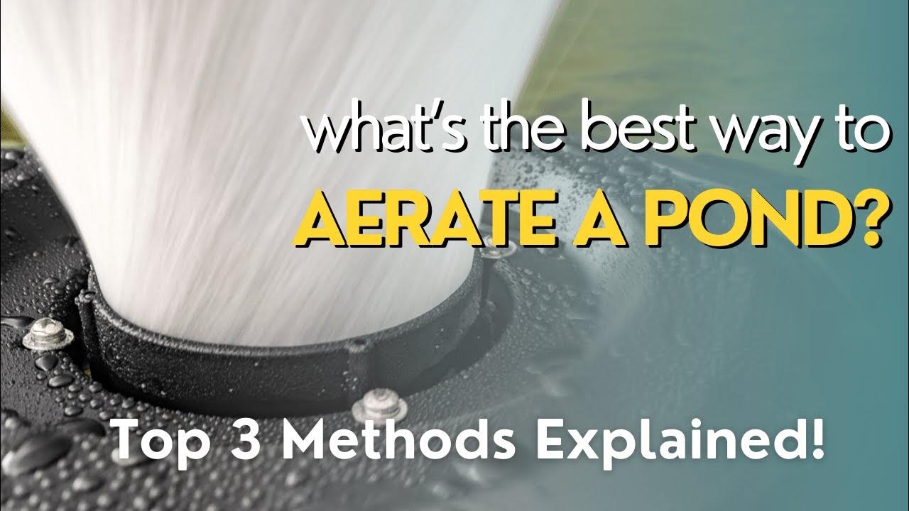 What's The Best Way To Aerate A Pond? YouTube