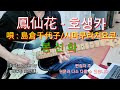 鳳仙花/호생카 唄:島倉千代子:시마쿠라치요코/Guitar김충겸金忠謙