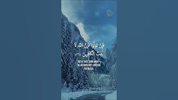 (سورة العمران الآية 31) قل إن كنتم تحبون الله فاتبعوني يحببكم الله ويغفر لكم ذنوبكم والله غفور رحيم