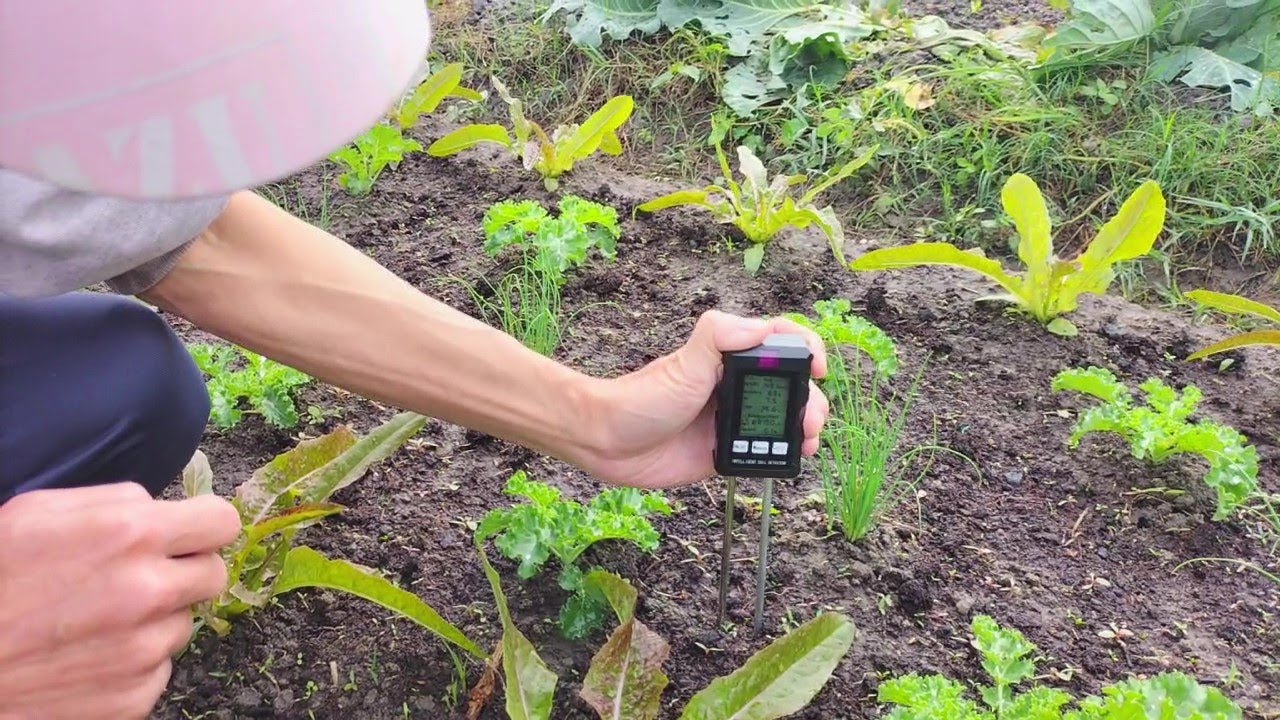 [狐狸菜園] 簡單測試一下土壤的性質 Soil testing for EC and ph