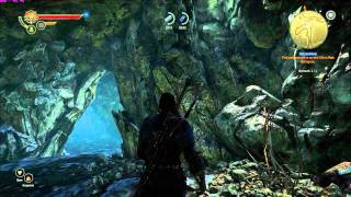 Witcher 2 patch 1.1 pop-in