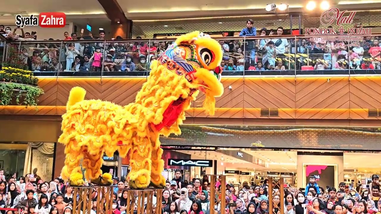 🔴 ATRAKSI BARONGSAI KONG HA HONG PONDOK INDAH MALL, ACROBATIC LION DANCE 2024