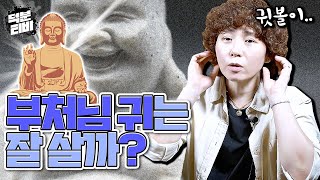 귓볼이 두툼하고 길쭉한 부처님 귀를 한 사람은 잘 살까?부처님 귀를 한 남자와 부처님 귀를 한 여자의 차이