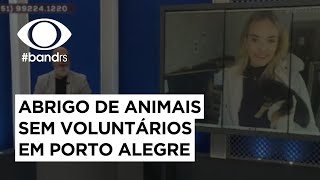 Abrigo de animais sem voluntários em Porto Alegre | Boa tarde RS