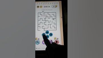 Catch the mouse Level 24 Brain Test Game
