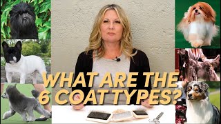 What Are The Six Coat Types? by Leading Edge Dog Show Academy 971 views 2 months ago 10 minutes, 31 seconds