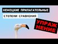 Ты знаешь эти немецкие прилагательные? Упражнение с ответами