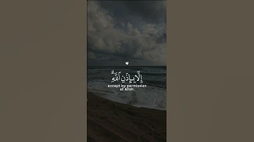 مَا أَصَابَ مِن مُّصِيبةٍ إِلَّا بِإِذْنِ اللَّهِ ۗ | القارئ رعد الكردي🤍 #اكتب_شي_تؤجر_عليه #اكسبلور