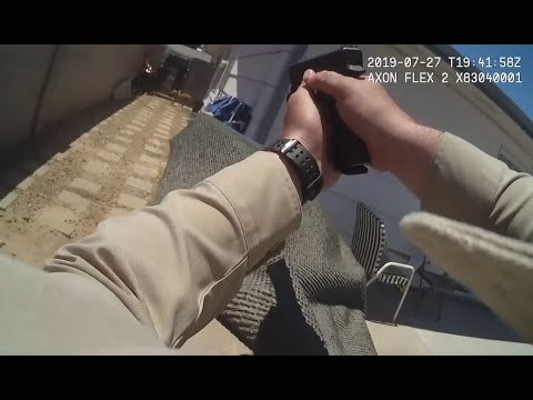 BODY CAM VIDEO Graphic footage shows Metro officer fatally shooting dog during July 27 investigatio