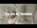 You are my sunshine  hymn lullaby  bedtime song for babies  music song for babies