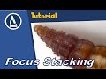 🔬 Quick Focus stacking (image stacking) tutorial for micrographs