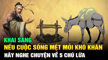 [KHAI SÁNG]: Nếu cuộc sống mệt mỏi khó khăn, hãy đọc câu chuyện về 5 chú lừa này