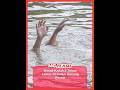 Kanak-Kanak 4 Tahun Lemas Di Kolam Renang Resort #MGFlash
