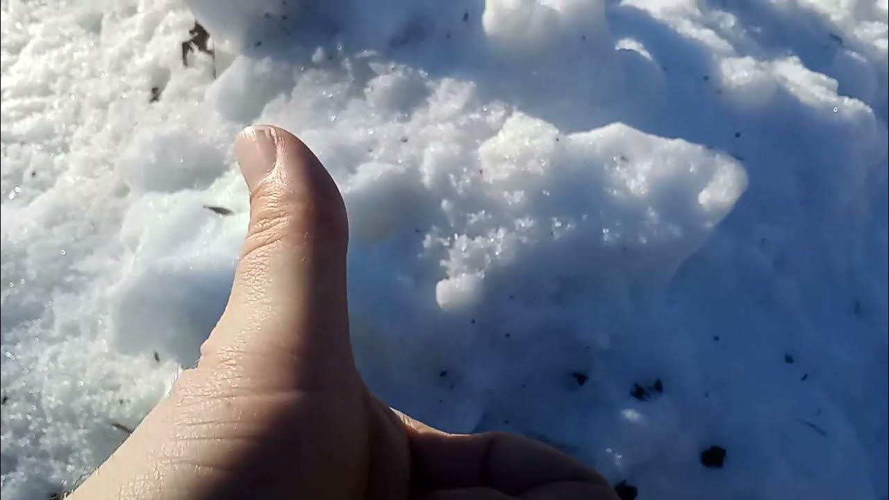 OH NO BLACK ICE! I WILL PUT KITTY LITTER ON IT TO MAKE THE ICE MELT