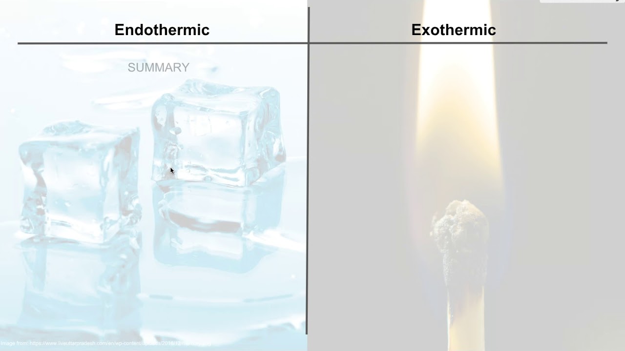 Endo and exothermic reactions YouTube