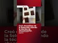🍫⚽ ¡Qué locura! Creó chocolinas de la Selección usando la técnica de chocotransfer.