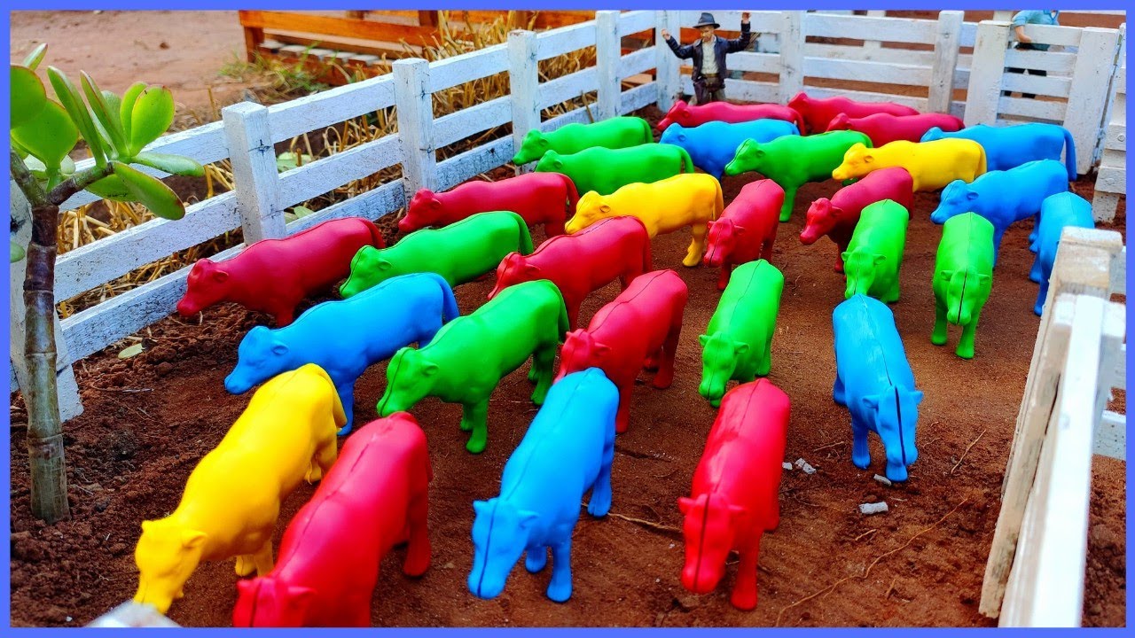 CHEGARAM OS NOVOS BOIS COLORIDOS NA FAZENDINHA