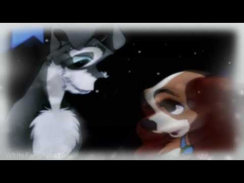 Tramp x Lady //Baby its cold outside// secret santa for shimmlight♥
