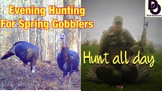 Evening Hunting for SPRING GOBBLERS/ Hunt ALL DAY screenshot 2