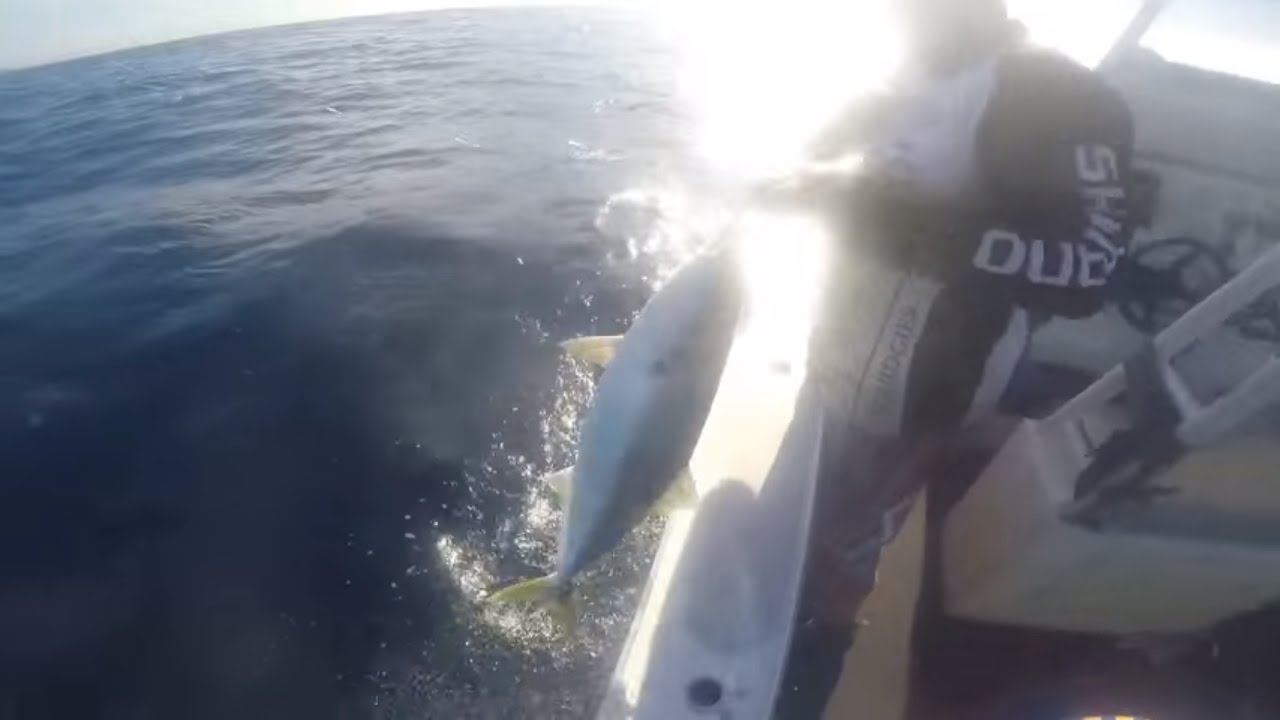 Windsor bait and tackle's having a day out with Raptor fishing Charters