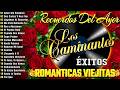 Los Caminantes Sus Mejores Exitos de Amor - Colección de Rancheras Románticas Inolvidables