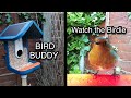 BIRD BUDDY - The reluctant Twitcher