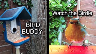 BIRD BUDDY  The reluctant Twitcher