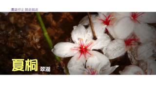新北汐止建設CF-觀光旅遊篇
