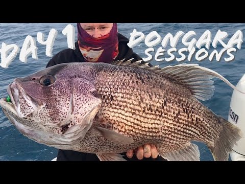 Dongara Sessions Day 1