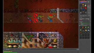 Buratinio & Miesko Life Nerana screenshot 3