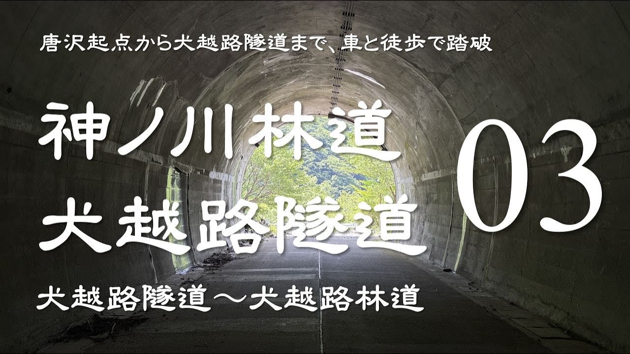神ノ川林道・犬越路隧道 03　＜犬越路隧道を北から南へ、犬越路林道＞中年ヘタレソロハイカーの登山記録　2025年06月07日　#神ノ川林道　#犬越路隧道　#林道探索　#中年ヘタレソロハイカー
