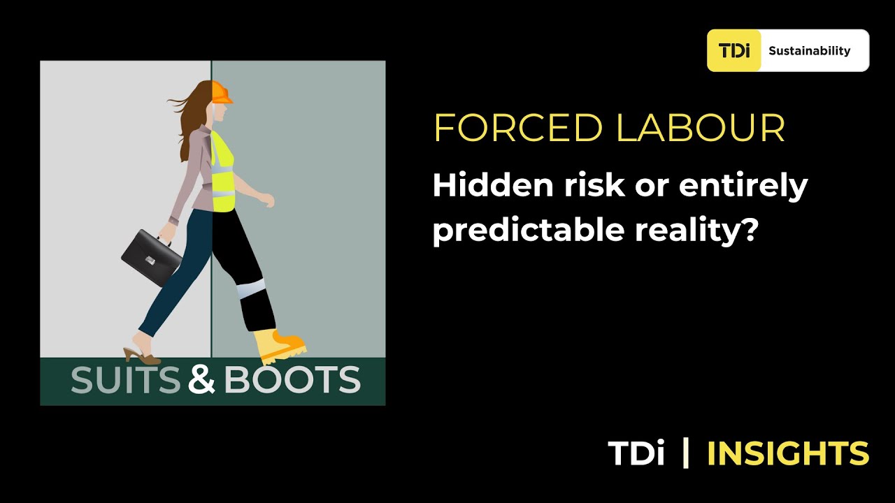 Forced labour | Hidden risk or entirely predictable reality? - YouTube