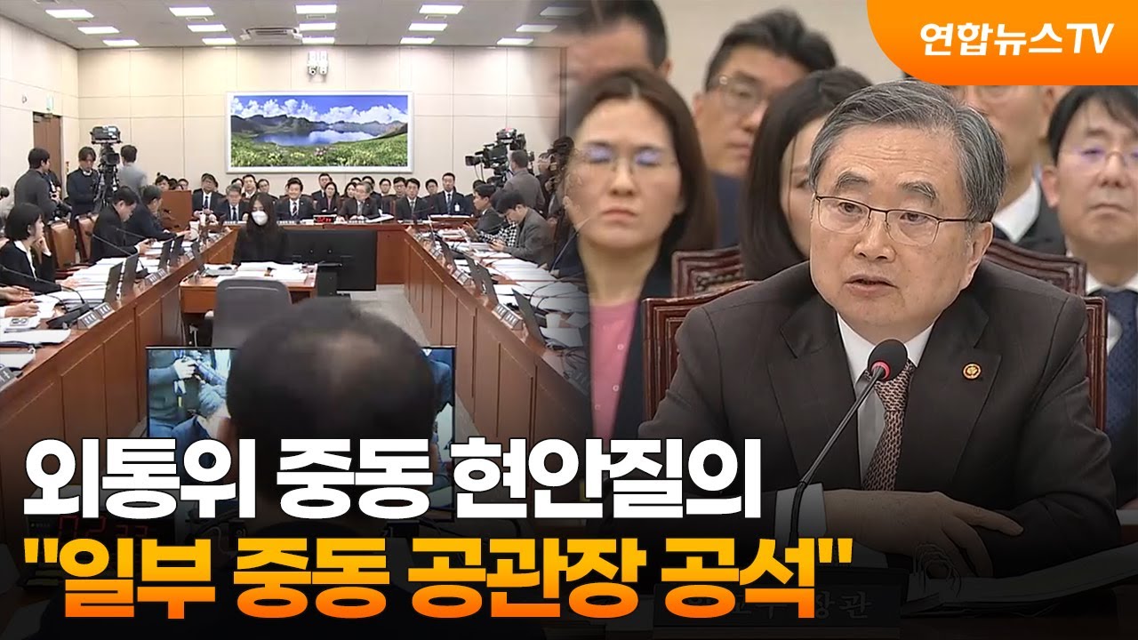 외통위 중동 현안질의…